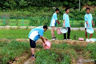 “西边的太阳”☀️太阳4连胜排名西部第8 和第5鹈鹕只差1个胜场